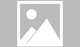 广州市时事爆料新闻报道,聚焦城市动态，解码民生热点